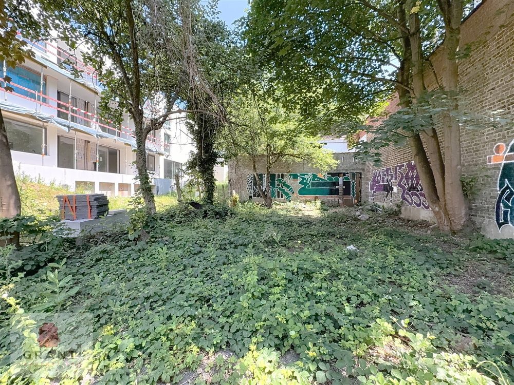 103961_47808.jpg