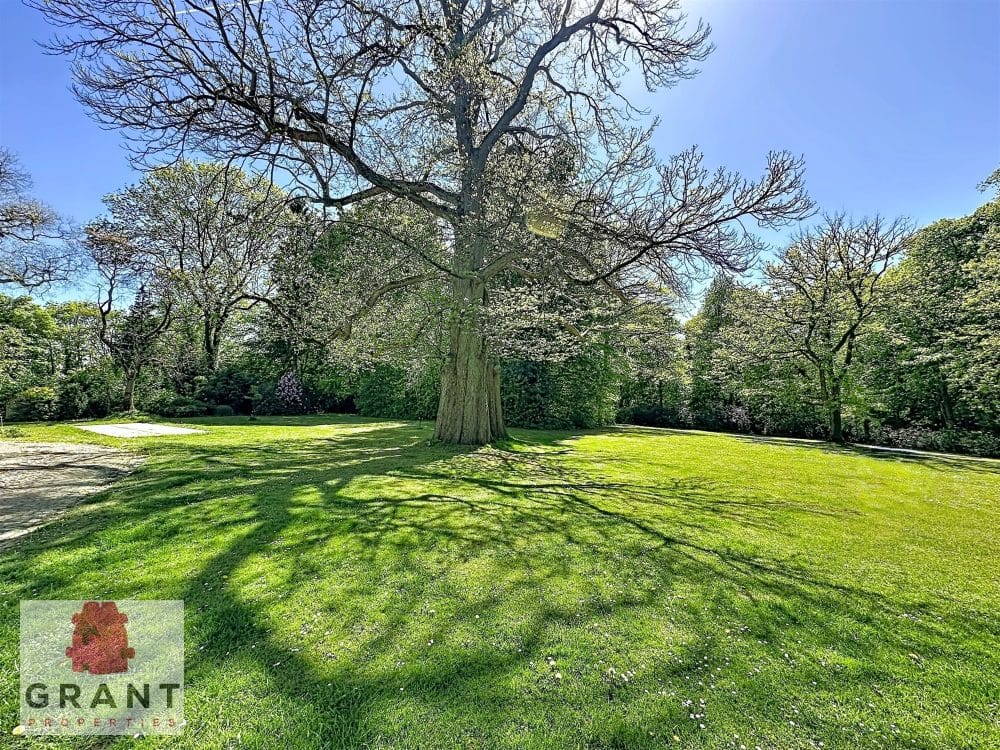 Maison 6 chambres à vendre à HOEILAART pour 1 950 000 € (photo 7 sur 38)