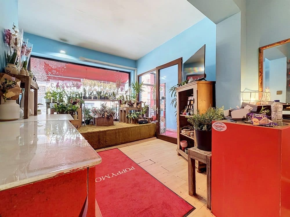 Immeuble mixte 2 chambres à vendre à WOLUWE-SAINT-LAMBERT pour 595 000 € (photo 3 sur 17)